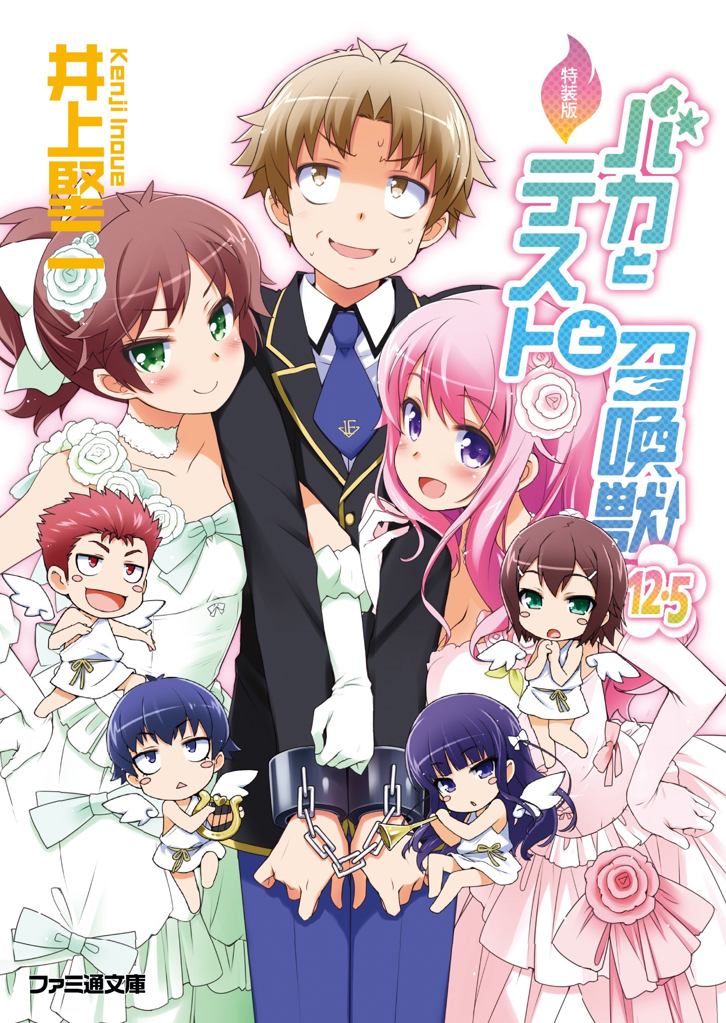 Baka and Test Novel 12.5 Tokusou.jpg