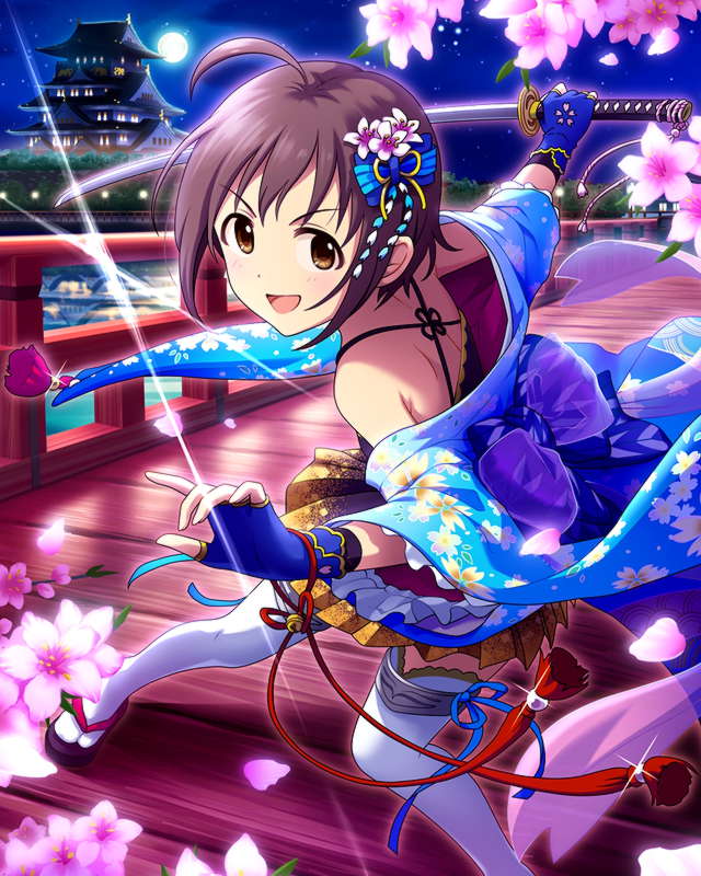 Tamami SR3+ NF.jpg