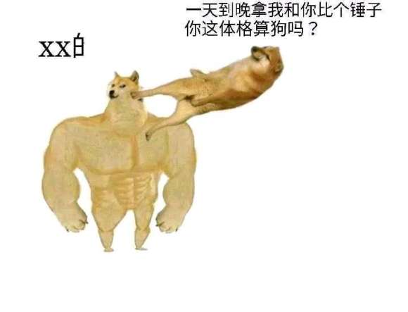 你这体型算狗吗.jpg