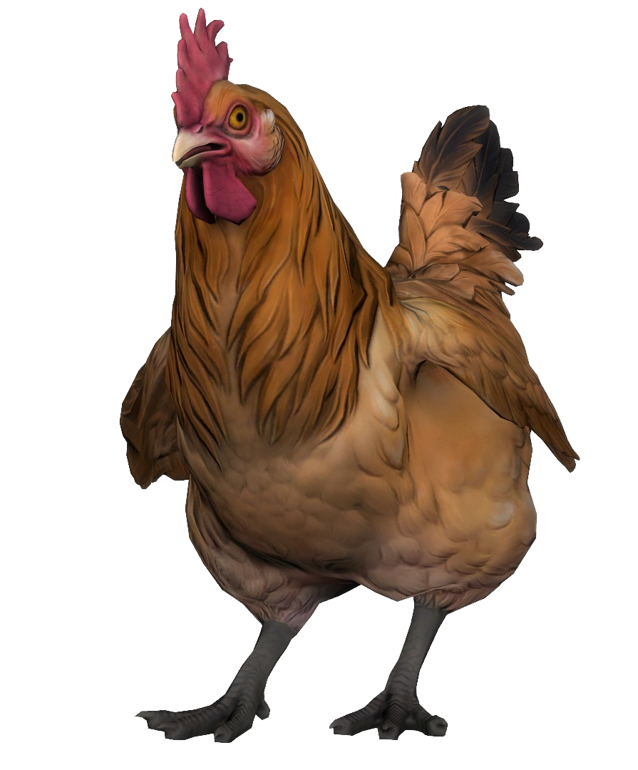 Chicken Brown 2021 CSGO.png