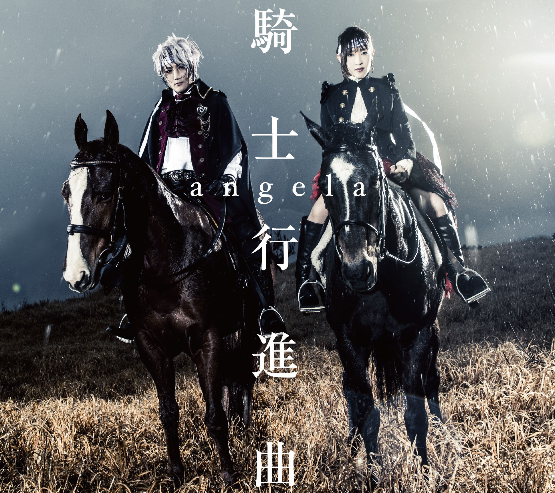 骑士行进曲 cover.jpg