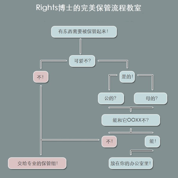 痴女博士的流程表