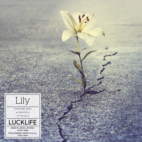 Lily Artist.jpg