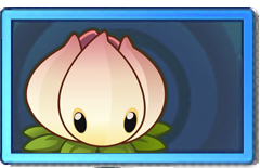 Power Lily Rare Seed Packet.png