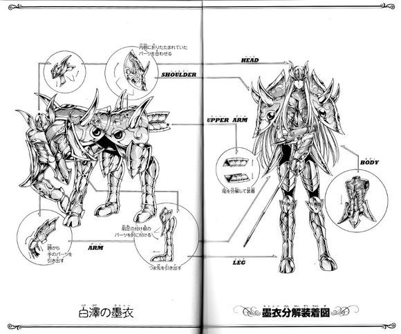 墨衣-白泽.jpg